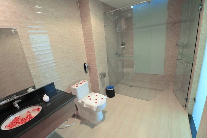 Imagen de la habitación del Hotel The Grand Ace. Foto 10