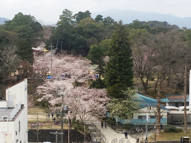Imagen general del Hotel The Grand Court Tsunishi. Foto 6