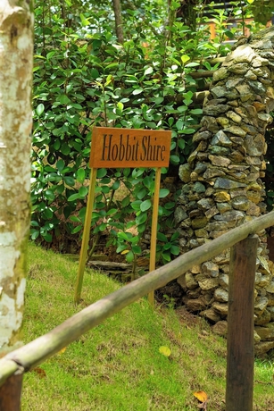 Imagen de la habitación del Hotel The Grand Forest Jarabacoa. Foto 4