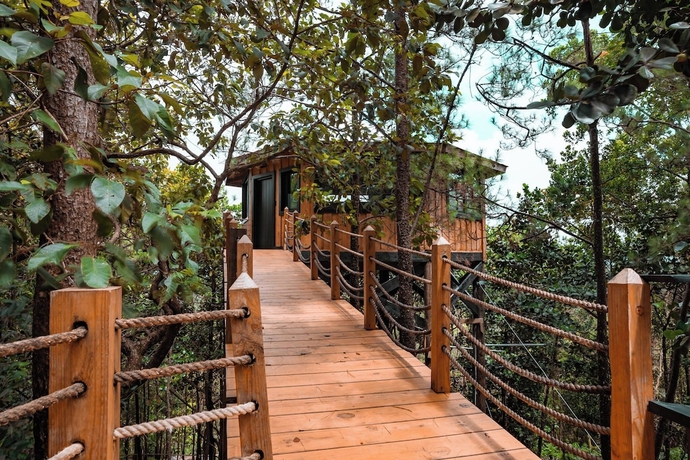 Imagen de la habitación del Hotel The Grand Forest Jarabacoa. Foto 12