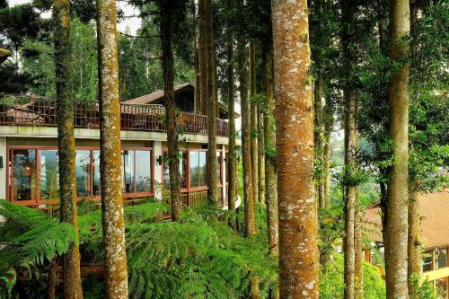 Imagen general del Hotel The Grand Hill Resort-Hotel. Foto 9