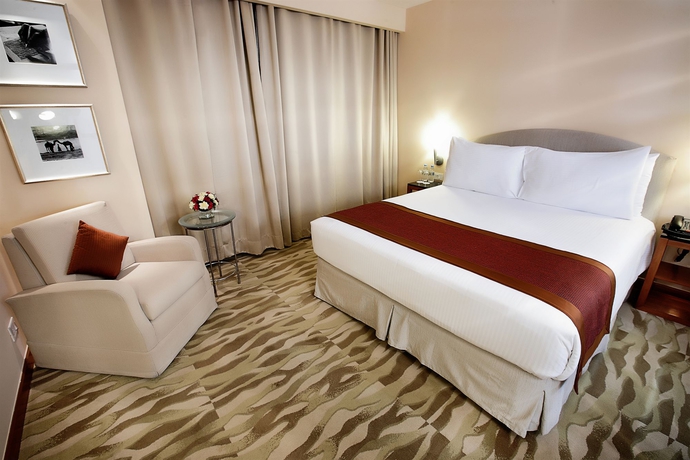 Imagen de la habitación del Hotel The Grand New Delhi. Foto 7