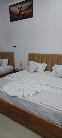 Imagen de la habitación del Hotel The Great Hill view. Foto 14