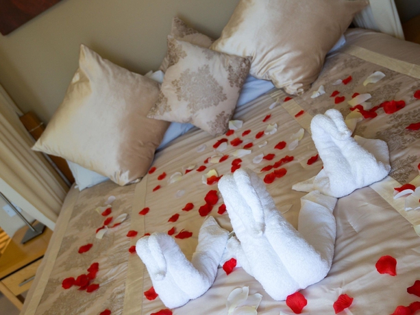 Imagen de los interiores del Hotel The Green Isle Dublin. Foto 10