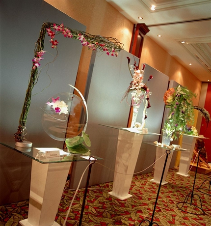 Imagen de los interiores del Hotel The Green Park Boutique and Grand Suites - Chapultepec Parkfront. Foto 6