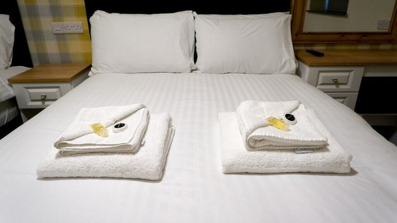 Imagen de la habitación del Hotel The Greenland\'s Inn. Foto 12