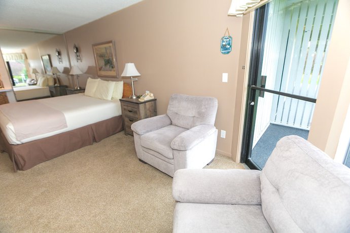 Imagen de la habitación del Hotel The Grey Gull, Ocean Shores. Foto 17