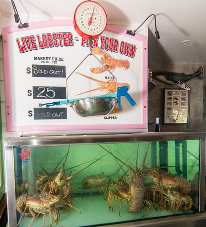 Imagen del bar/restaurante del Hotel The Hamilton Beach Villas and Spa. Foto 2