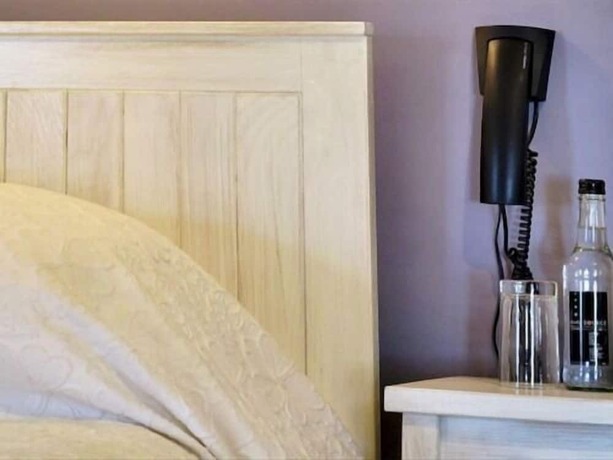 Imagen de la habitación del Hotel The Hand at Llanarmon. Foto 15