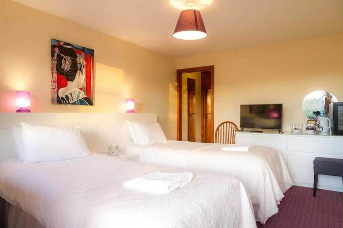 Imagen de la habitación del Hotel The Hanmer Arms. Foto 16