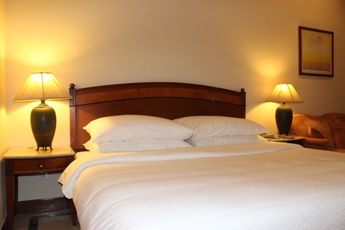 Imagen de la habitación del Hotel The Hans New Delhi. Foto 9