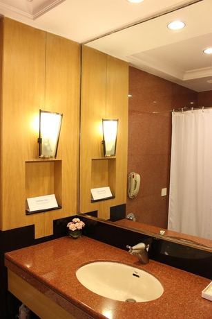 Imagen de la habitación del Hotel The Hans New Delhi. Foto 11