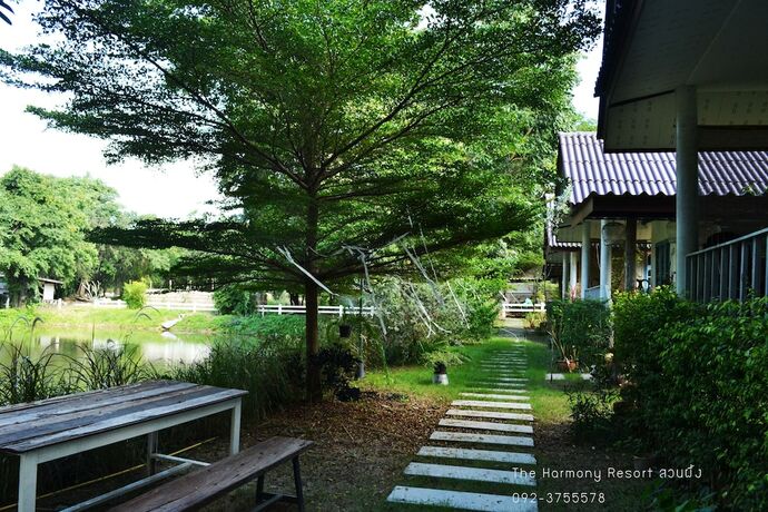 Imagen general del Hotel The Harmony Resort. Foto 8