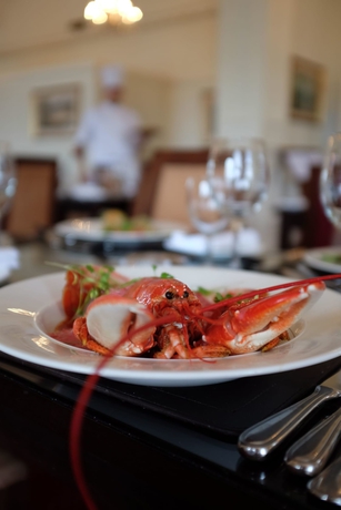 Imagen del bar/restaurante del Hotel The Headland and Spa, Torquay. Foto 9