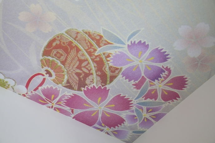 Imagen de la habitación del Hotel The Hedistar Kyoto Nijo Comicandbooks. Foto 7