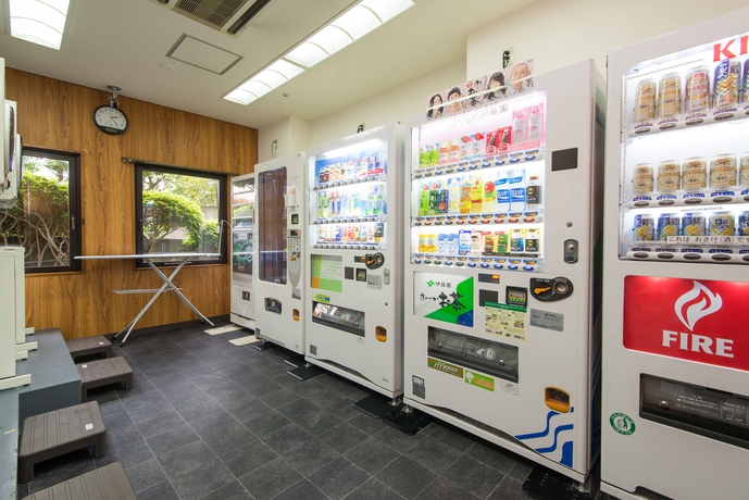 Imagen de los interiores del Hotel The Hedistar Narita. Foto 16