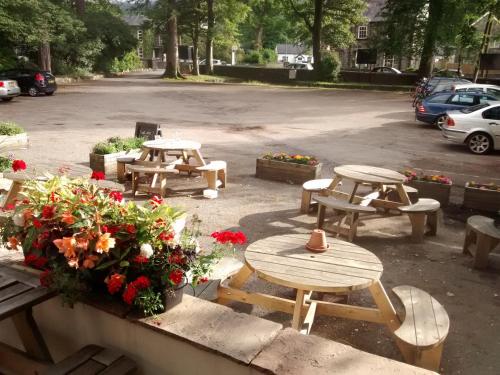 Imagen general del Hotel The Heights Bunkhouse. Foto 3