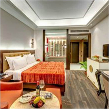 Imagen de la habitación del Hotel The Hhi Kolkata. Foto 10