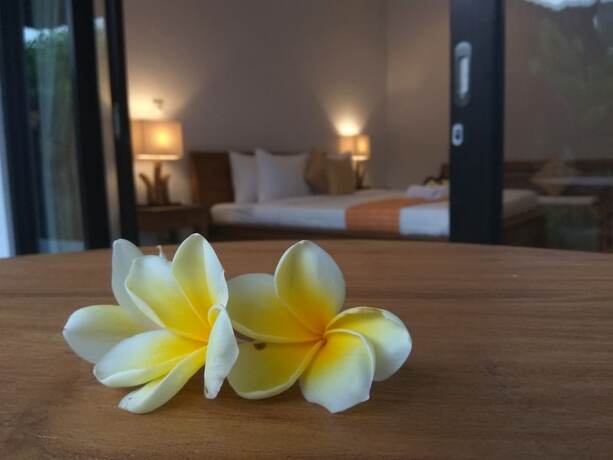 Imagen general del Hotel The Hidden Bali Inn. Foto 18