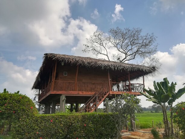Imagen de la habitación del Hotel The Hideout Sigiriya, Kimbissa. Foto 11
