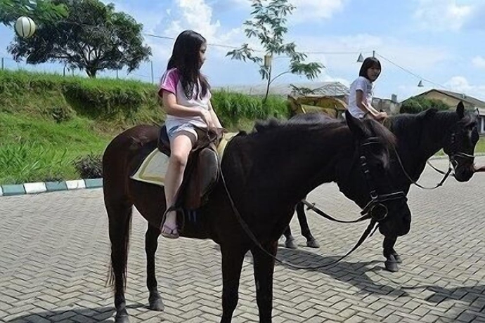 Imagen general del Hotel The Highland Park Resort Bogor. Foto 3