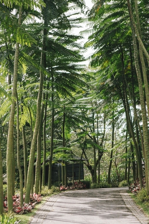 Imagen de los exteriores del Hotel The Hill and Resort and Sibolangit. Foto 13