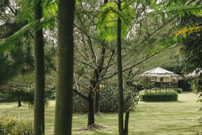 Imagen de los exteriores del Hotel The Hill and Resort and Sibolangit. Foto 14