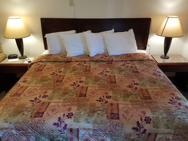 Imagen de la habitación del Hotel The Hillside Motel. Foto 12