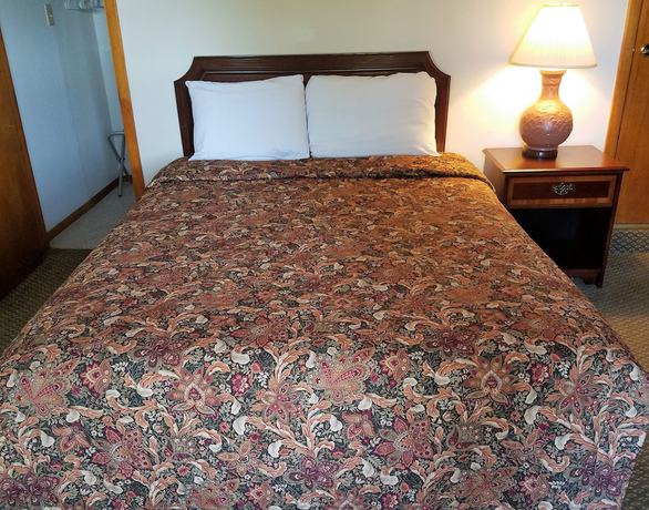 Imagen de la habitación del Hotel The Hillside Motel. Foto 15