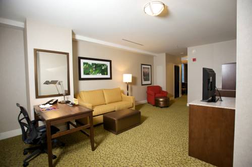 Imagen de la habitación del Hotel The Hilton Garden Inn Buffalo-downtown. Foto 6