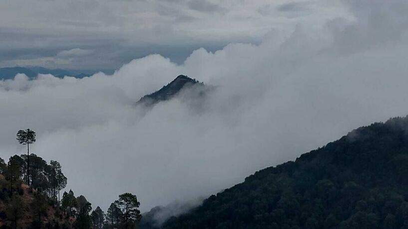 Imagen general del Hotel The Himalayan Deodar. Foto 4