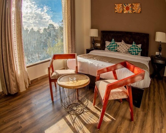 Imagen de la habitación del Hotel The Himalayan Voyage. Foto 16