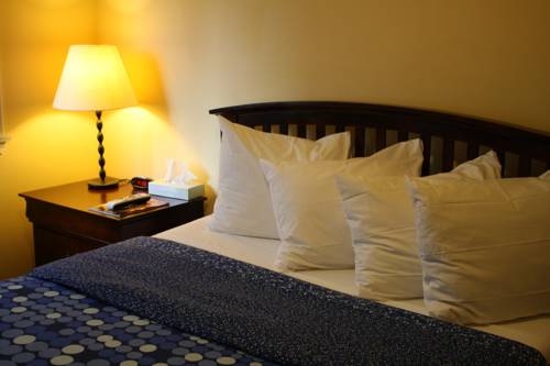 Imagen general del Hotel The Hollywood. Foto 8