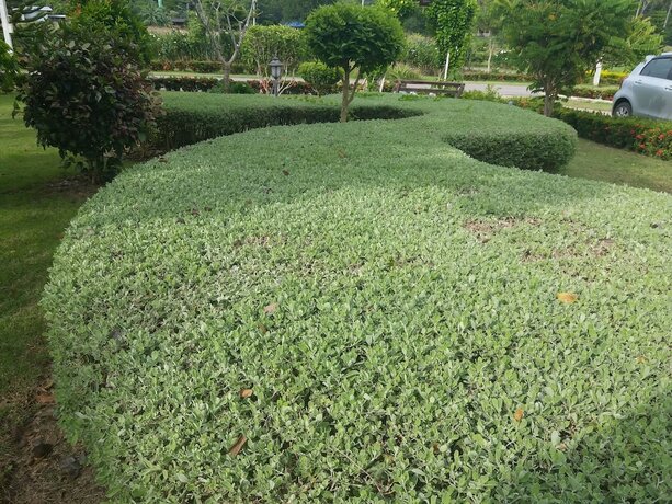 Imagen general del Hotel The Homestead Resort Pakchong. Foto 5