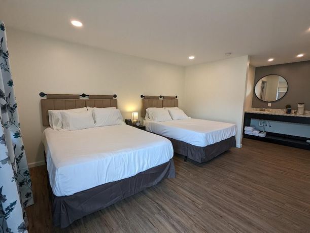 Imagen de la habitación del Hotel The Honey Bee Motel. Foto 5