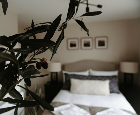 Imagen general del Hotel The Hope and Anchor. Foto 5