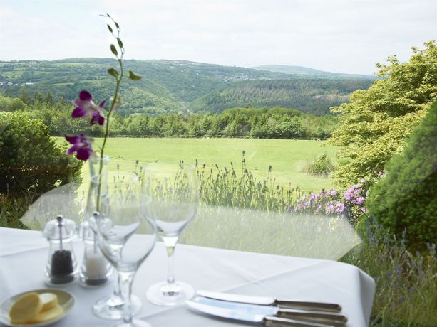 Imagen de la habitación del Hotel The Horn Of Plenty. Foto 5