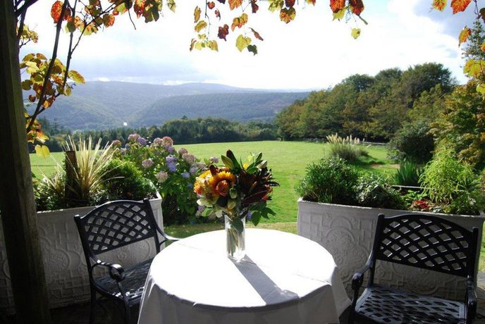 Imagen de los interiores del Hotel The Horn Of Plenty. Foto 12