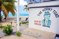 Imagen general del Hotel The Horny Toad Guesthouse. Foto 1