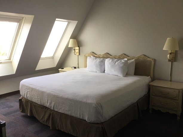 Imagen de la habitación del Hotel The Hotel Ojibway, Trademark Collection by Wyndham. Foto 12