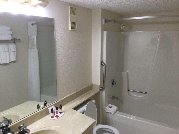 Imagen de la habitación del Hotel The Hotel Ojibway, Trademark Collection by Wyndham. Foto 13