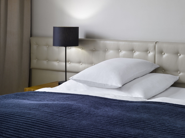 Imagen de la habitación del Hotel The Icon and Lounge. Foto 9