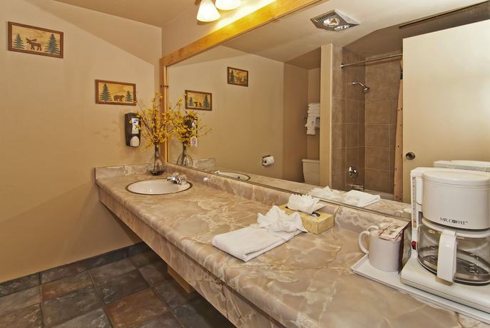 Imagen de la habitación del Hotel The Incline Lodge. Foto 12