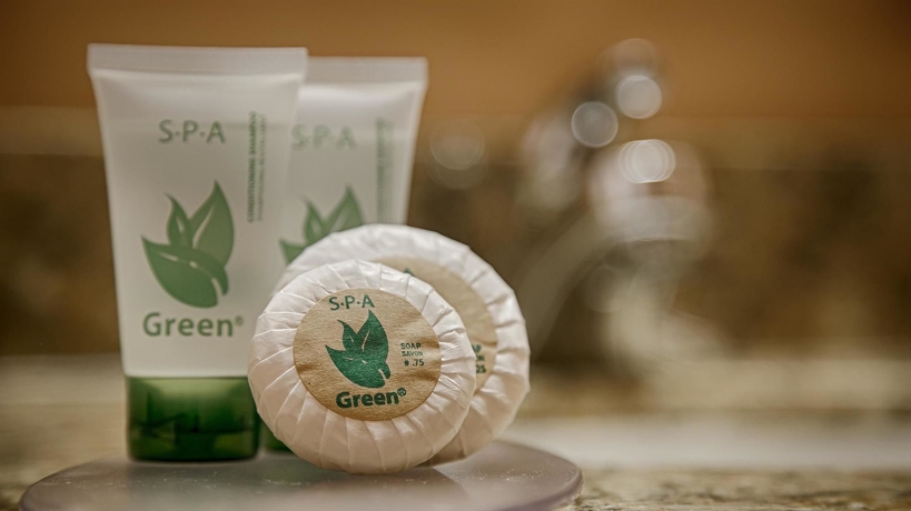 Imagen de la habitación del Hotel The Independence Inn Charlotte/Matthews Hotel. Foto 11