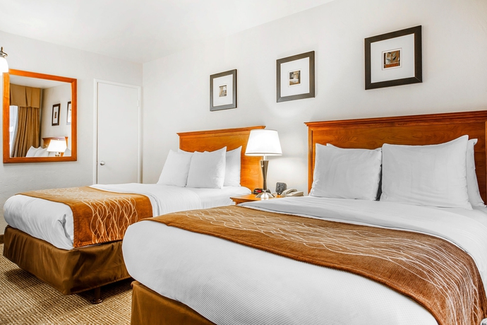 Imagen de la habitación del Hotel The Inn At 1252. Foto 6