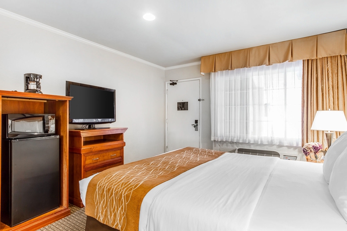 Imagen de la habitación del Hotel The Inn At 1252. Foto 13