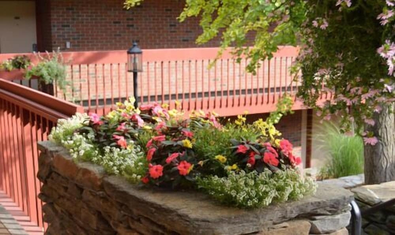 Imagen general del Hotel The Inn At Crumpin Fox. Foto 6