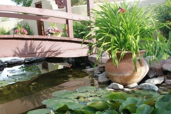 Imagen de los exteriores del Hotel The Inn At Paradise. Foto 4