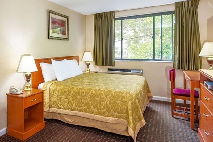 Imagen de la habitación del Hotel The Inn On Arsenal. Foto 3