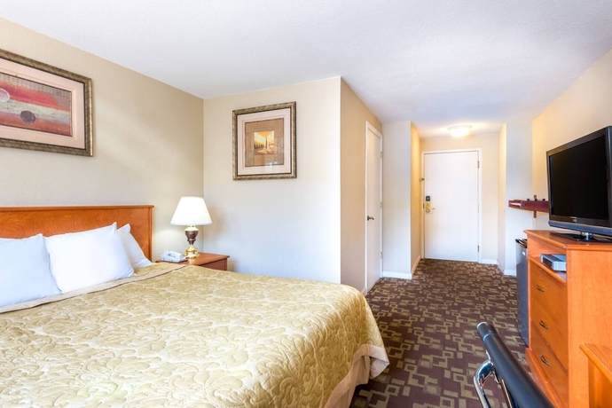 Imagen de la habitación del Hotel The Inn On Arsenal. Foto 11